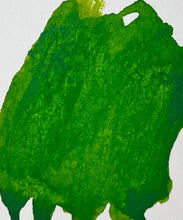 Load image into Gallery viewer, Algae
