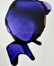 Load image into Gallery viewer, Willy Womper