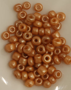Copper Rose 31