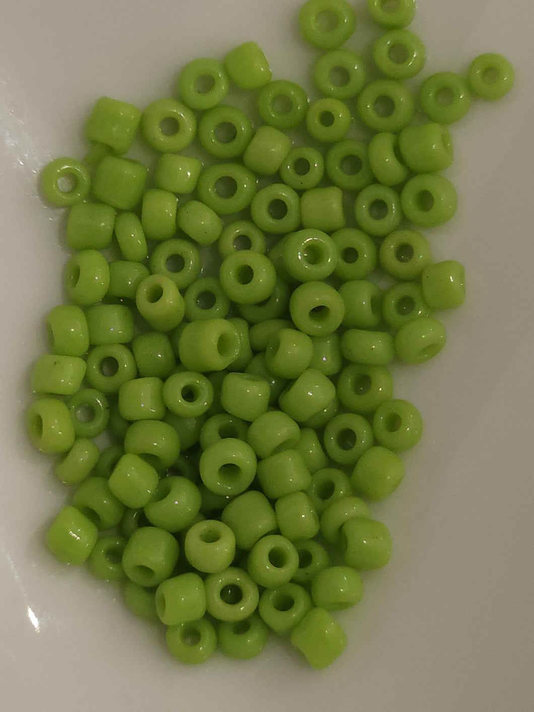 Shamrock 59