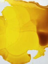 Load image into Gallery viewer, Limoncello