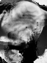 Load image into Gallery viewer, Deadly Nightshade