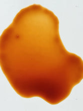 Load image into Gallery viewer, Jamaican Rum Punch
