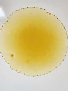 Pisco Sour