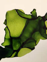 Load image into Gallery viewer, Gummy Bear Margarita