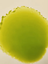 Load image into Gallery viewer, Jolly Rancher