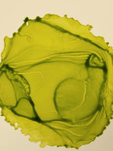 Load image into Gallery viewer, Jolly Rancher