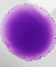 Load image into Gallery viewer, Flirtini
