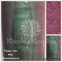 Load image into Gallery viewer, Chameleon Kit