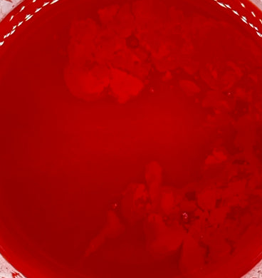 Merlot