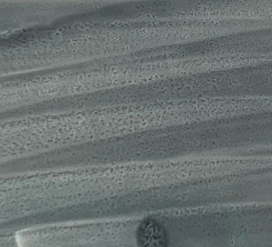 Ng280