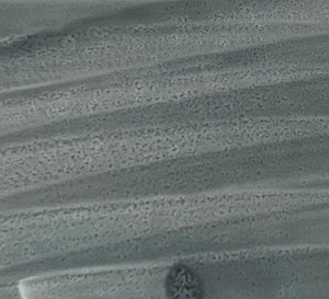 Ng280