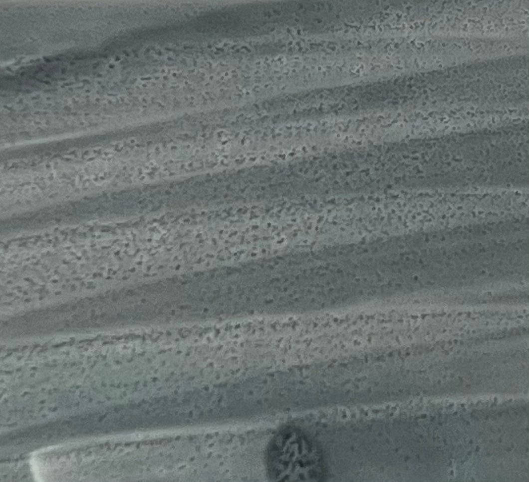 Ng280
