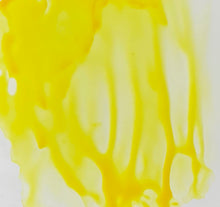 Load image into Gallery viewer, Mimosa