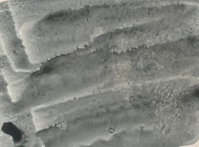 BG88