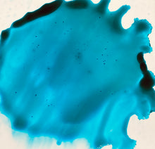 Load image into Gallery viewer, Teal-quila