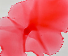 Load image into Gallery viewer, Pink Panther