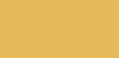 Goldfinch TD