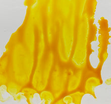 Load image into Gallery viewer, Creamsicle