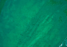 Load image into Gallery viewer, Mangrove