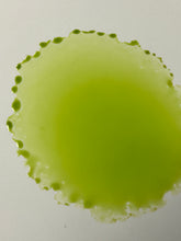 Load image into Gallery viewer, Hot Toddy