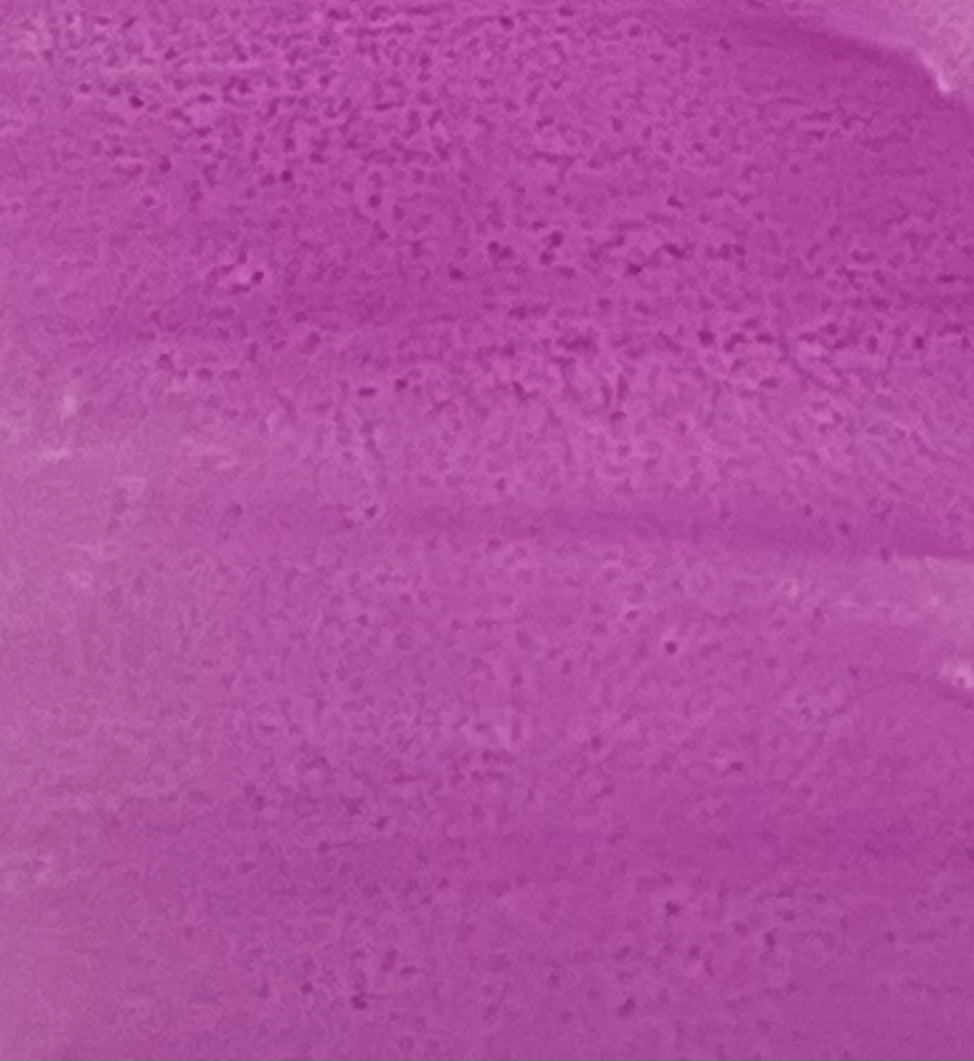 V198
