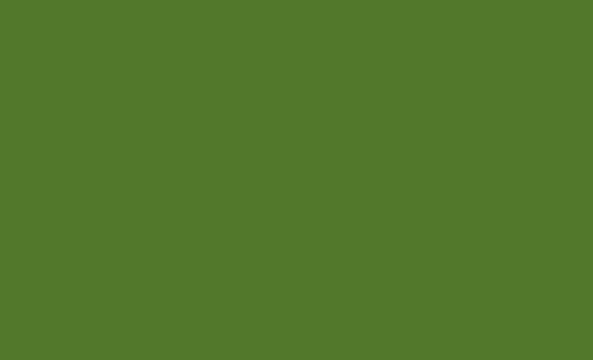 Camo Green MMP