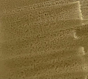 E171