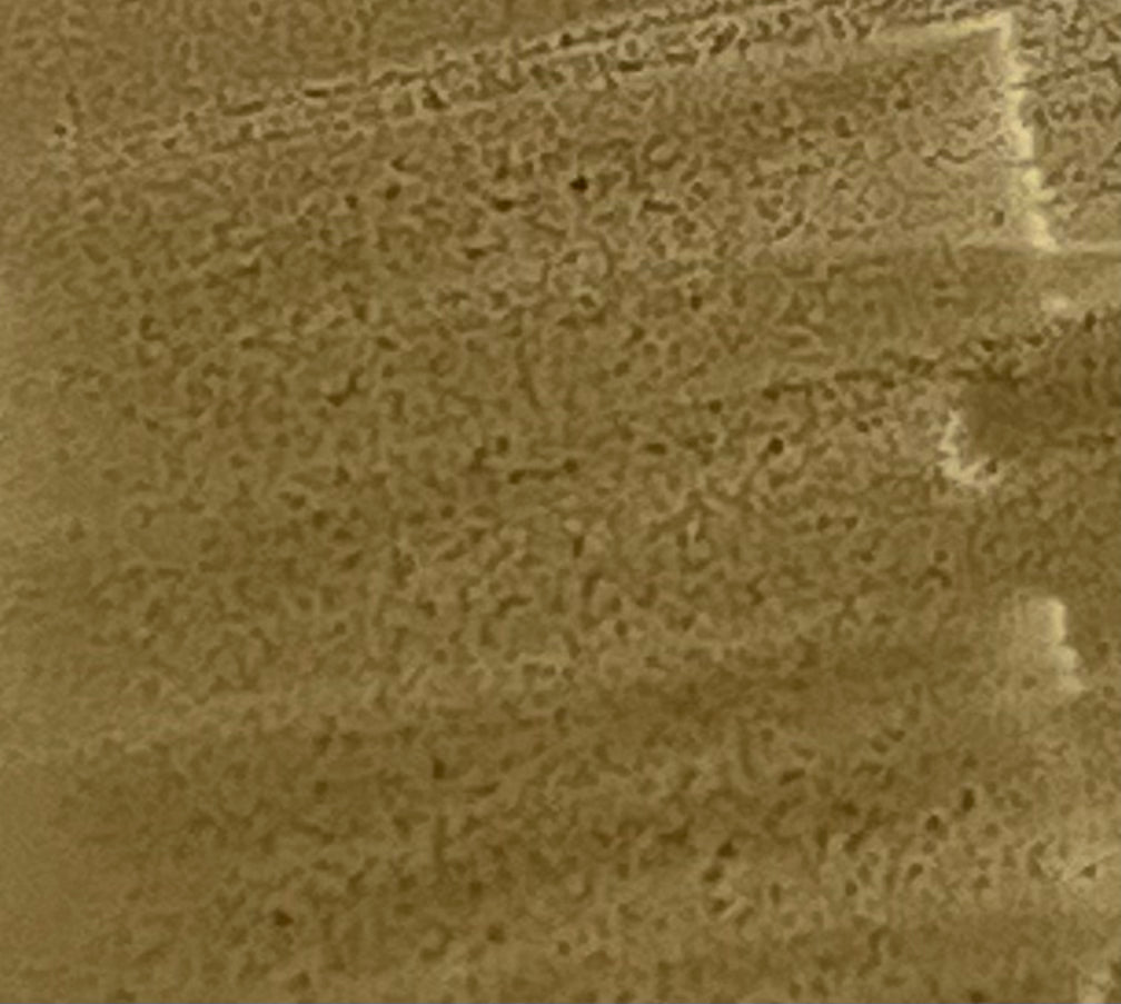 E171