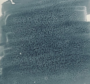 Cg272
