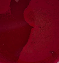 Load image into Gallery viewer, Fire