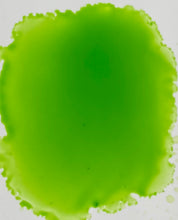 Load image into Gallery viewer, Sour Apple Pucker