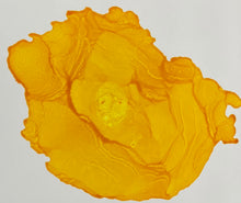 Load image into Gallery viewer, Creamsicle