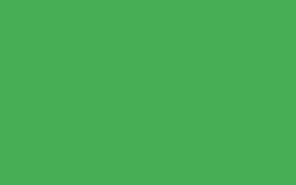 Neon Green MMP