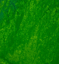 Load image into Gallery viewer, Algae