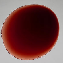 Load image into Gallery viewer, French 75