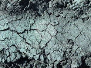 Dark Green Magnetic 