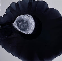 Load image into Gallery viewer, Minx