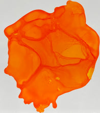 Load image into Gallery viewer, Harvey Wallbanger