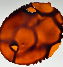 Load image into Gallery viewer, Snake Bite