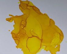 Load image into Gallery viewer, Yellow Bird