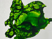 Load image into Gallery viewer, Mint Julep