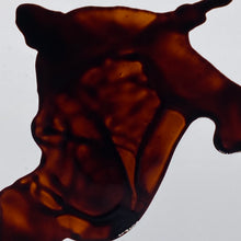 Load image into Gallery viewer, Long Island Ice Tea