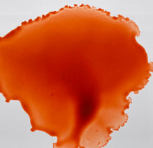 Load image into Gallery viewer, Bellini