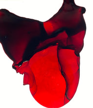 Load image into Gallery viewer, Red Death