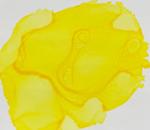 Load image into Gallery viewer, Mimosa