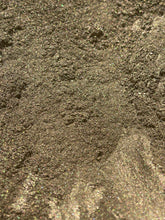 Load image into Gallery viewer, Squirrel Jive