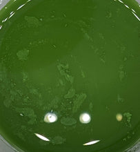 Load image into Gallery viewer, Asparagus