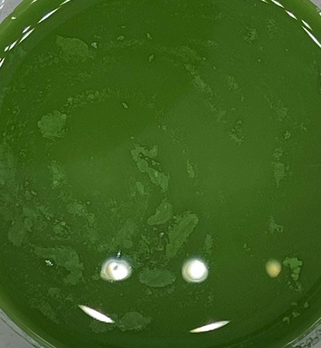 Asparagus