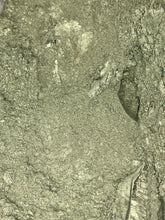 Load image into Gallery viewer, Silly salamander